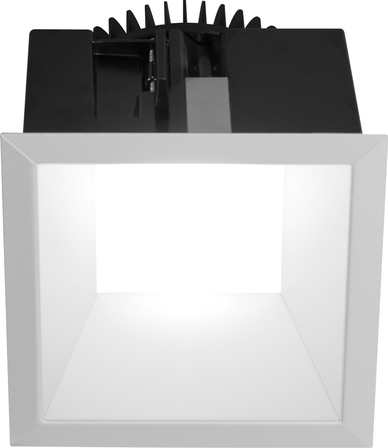 Open with Satin Glow Reflector